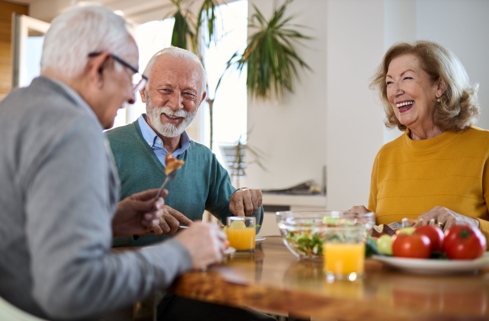 Things to Do for Seniors in Decatur - Holbrook Life