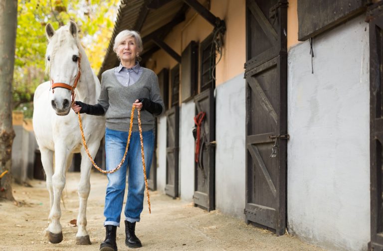 Older adult walking with a white horse outside a stable on a sunny day enjoying nature movement and animal interaction